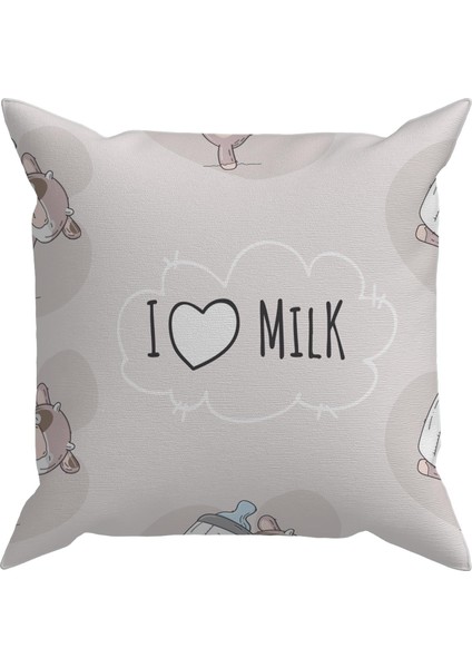 Bebek Çocuk Odası Yastıklı Kırlent Kılıf 2'li DS98 30X30 cm
