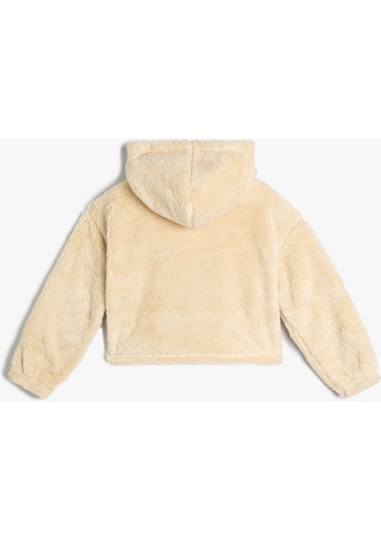 Peluş Kapşonlu Sweatshirt Kelebek Işlemeli Uzun Kollu fiyatları