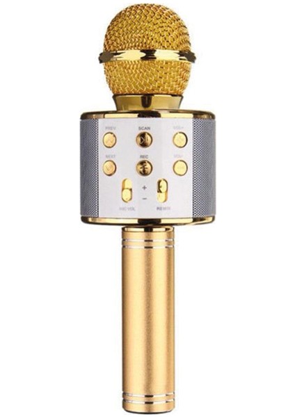 PM-17185 Bluetooth Sd Aux Dm Kablosuz Karaoke Mikrofon