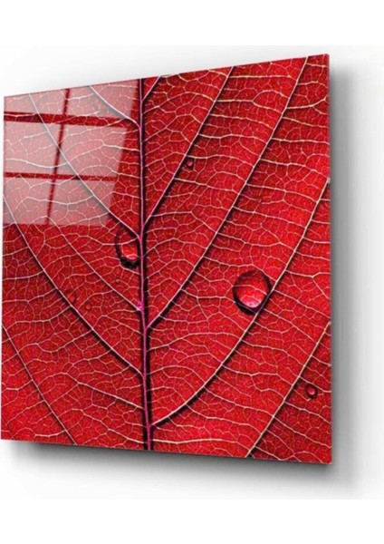 Su Damlacıkları Cam Tablo 50 x 50 cm