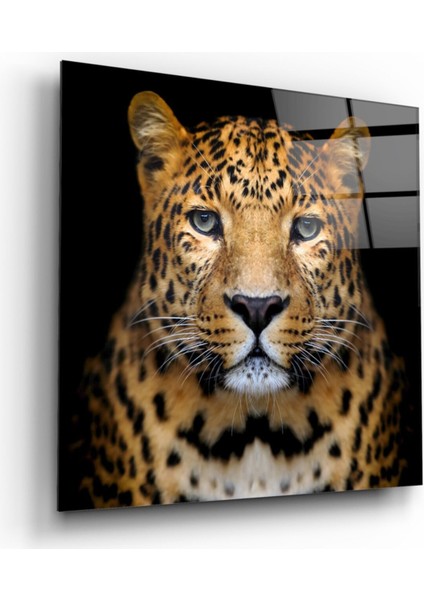 Leopar Cam Tablo
