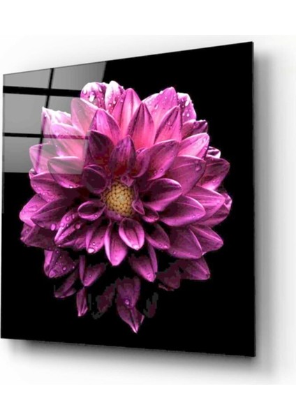 Çiçek Cam Tablo 50 x 50 cm