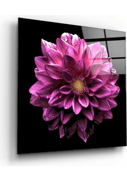Çiçek Cam Tablo 50 x 50 cm