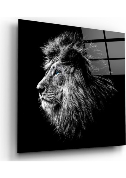 Aslan Cam Tablo