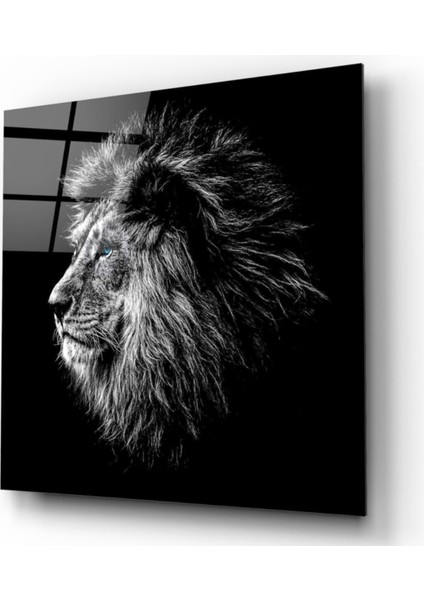 Aslan Cam Tablo
