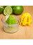 102-569-145 2IN1 CITRUS JUICER NARENCIYE SIKACAĞI 4