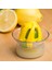 102-569-145 2IN1 CITRUS JUICER NARENCIYE SIKACAĞI 5
