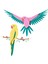 ® Art Fauna Koleksiyonu Macaw Papağanları 31211 - Yetişkinler için Koleksiyonluk ve Sergilenebilir Tablo Yapım Seti (644 Parça) 2