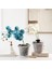 Orkide Saksıları - 7 Inç - 5 Saksı ve Tabaklar, Orkide Saksıları (Yurt Dışından) 3