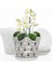 Orkide Saksıları - 7 Inç - 5 Saksı ve Tabaklar, Orkide Saksıları (Yurt Dışından) 4