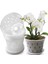 Orkide Saksıları - 7 Inç - 5 Saksı ve Tabaklar, Orkide Saksıları (Yurt Dışından) 5
