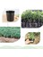 500 Adet Fide Saksısı Plastik Bitki Yayılım Kabı 8CMX8CM (Yurt Dışından) 4
