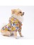 Winnie The Pooh Köpek Mont Köpek Kıyafeti Köpek Yağmurluğu(Kücük- Büyük Irklar) 1
