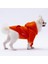 Turuncu Kanguru Cepli Kedi-Köpek Hoodie- Sweatshirt Kedi Köpek Kıyafeti 2