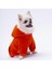 Turuncu Kanguru Cepli Kedi-Köpek Hoodie- Sweatshirt Kedi Köpek Kıyafeti 3