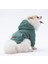 Çağla Yeşil Kanguru Cepli Kedi-Köpek Hoodie- Sweatshirt Kedi Köpek Kıyafeti 1