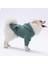 Çağla Yeşil Kanguru Cepli Kedi-Köpek Hoodie- Sweatshirt Kedi Köpek Kıyafeti 3
