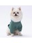 Çağla Yeşil Kanguru Cepli Kedi-Köpek Hoodie- Sweatshirt Kedi Köpek Kıyafeti 2