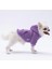 Lila Kanguru Cepli Kedi-Köpek Hoodie- Sweatshirt Kedi Köpek Kıyafeti 3