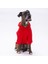 Kırmızı Kanguru Cepli Kedi-Köpek Hoodie- Sweatshirt Kedi Köpek Kıyafeti 5