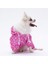 Barbie Tulum Yağmurluk Köpek Kıyafeti Köpek Yağmurluğu 2