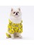 Sungerbob Tulum Yağmurluk Köpek Kıyafeti Köpek Yağmurluğu 2