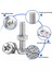 1110PCS Somun ve Cıvata Çeşitleri Kiti, Vidalar, Somunlar, Cıvatalar ve Rondelalarla Paslanmaz Çelik Kit (4-40 6-32 8-32 10-24) (Yurt Dışından) 5