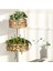Rattan Sepet Çiçek Sepeti Yeşil Bitki Sepeti El Yapımı Dekorasyon, A (Yurt Dışından) 3