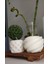 Cheaster Mum Set 2