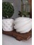Cheaster Mum Set 3