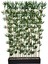 Bambu Speratör 100 cm Saksıda 190 cm Bambu 20 Adet 1
