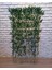 250 cm 10 Adet Bambu 1