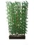 100 cm Saksıda 200 cm Bambu Speratör 15 Li 1