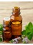 Çay Ağacı (Tea Tree Oil)- 20 ml 1