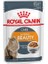 Royal Canin Intense Beauty Gravy Pouch Kedi Maması 85 gr - Kong 1