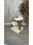 Trend Kedi Tırmalama Tahtası 45 cm x 35 cm x 35 cm 2