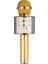 PM-17185 Bluetooth Sd Aux Dm Kablosuz Karaoke Mikrofon 2
