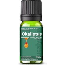 Evove Evove okaliptüs Eucalyptus esansiyel Yağ Doğal Oda Kokusu 1 Adet 10 ml  aromatik Buhurdanlık Yağı Kokusu Difüzör Aromaterapi Yağ Koku Özü