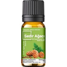 Evove Evove sedir Ağacı Cedar Tree Esansiyel Yağ Doğal Oda Kokusu 1 Adet 10 ml  aromatik Buhurdanlık Yağı Kokusu Difüzör Aromaterapi Yağ Koku Özü