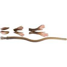 Savage Gear Lb 3D Rad Maintenance Kit 20 cm Brown Suni Yem