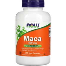 Now Foods Maca 500 mg 250 Veg Capsules