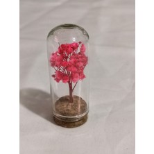 Loftina Mini Cam Tüpte Çiçek Nikah Kına Düğün Bebek Süsü 10 Adet