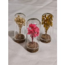 Loftina Mini Cam Tüpte Çiçek Nikah Kına Düğün Bebek Süsü 10 Adet