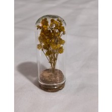 Loftina Mini Cam Tüpte Çiçek Nikah Kına Düğün Bebek Süsü 10 Adet