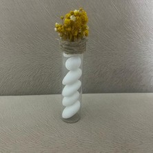 Loftina Badem Şekerli ve Çiçekli Tüp Nikah Kına Düğün Bebek Süsü 10 Adet