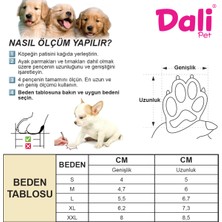 Dalipet Köpek Ayakkabısı Yumuşak Kaydırmaz Su Geçirmez Taban Kapalı ve Açık Yürüyüş, Koşu, Eğitim Ayakkabısı