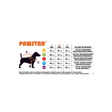 Pawstar Sarı Just Köpek Sweati Köpek Kıyafeti Kedi Kıyafeti