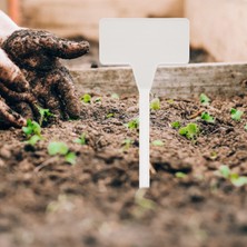 Faith Bahçeler Dikim Aletleri 50 Adet Bonsai Plastik Etiketler Bahçe Beyaz (Yurt Dışından)