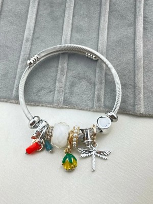 Kuşkaya Ticaret Yusufcuk Pandora Charm Çelik Silver Bileklik