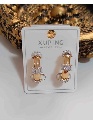 Didams Accessories Xupıng Zirkon Taşlı Rose Küpe (Büyük Boy)